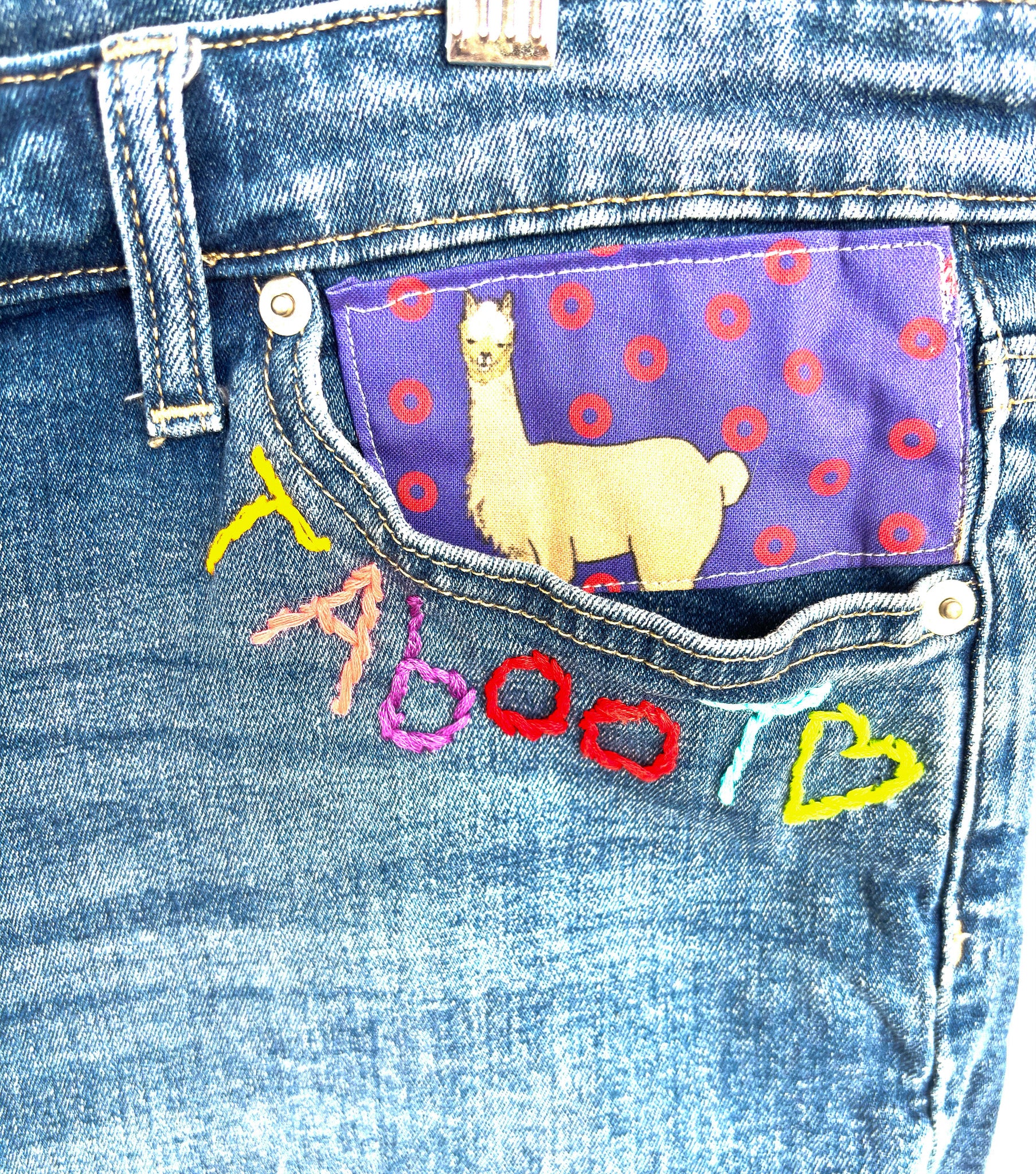 Phish Inspired Taboot Denim Shorts